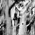 Spath